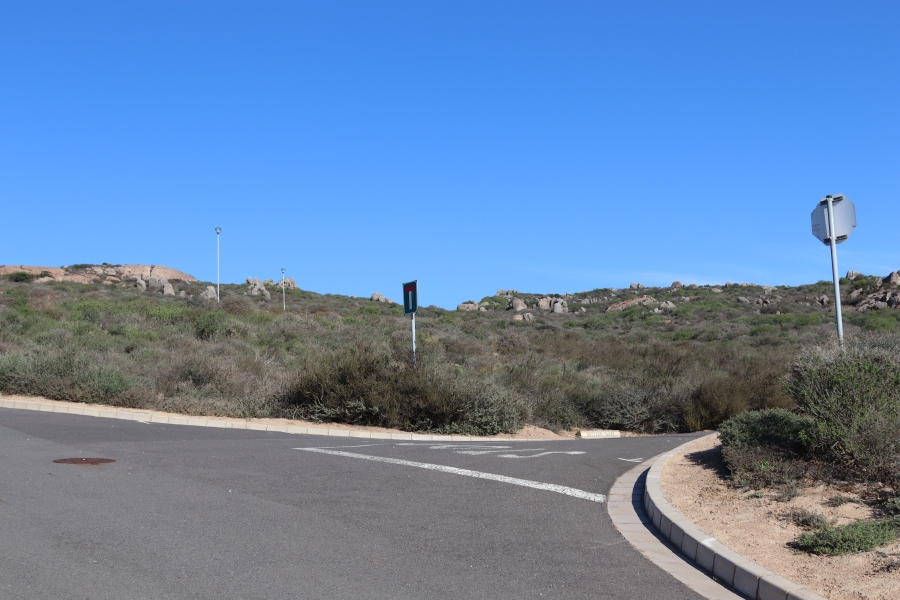 0 Bedroom Property for Sale in Steenbergs Cove Western Cape